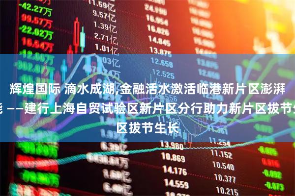 辉煌国际 滴水成湖,金融活水激活临港新片区澎湃动能 ——建行上海自贸试验区新片区分行助力新片区拔节生长