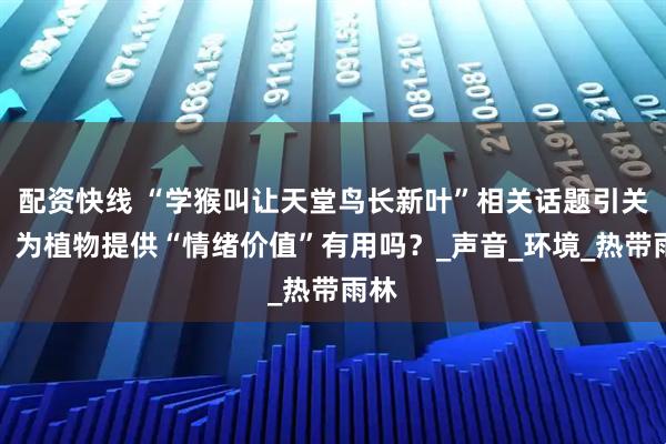 配资快线 “学猴叫让天堂鸟长新叶”相关话题引关注，为植物提供“情绪价值”有用吗？_声音_环境_热带雨林