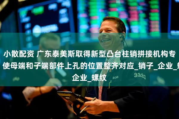 小散配资 广东泰美斯取得新型凸台柱销拼接机构专利，使母端和子端部件上孔的位置整齐对应_销子_企业_螺纹
