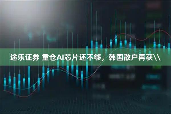 途乐证券 重仓AI芯片还不够,韩国散户再获\