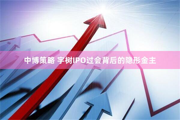 中博策略 宇树IPO过会背后的隐形金主