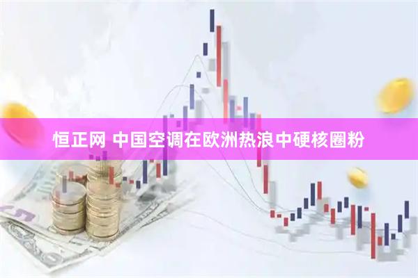 恒正网 中国空调在欧洲热浪中硬核圈粉